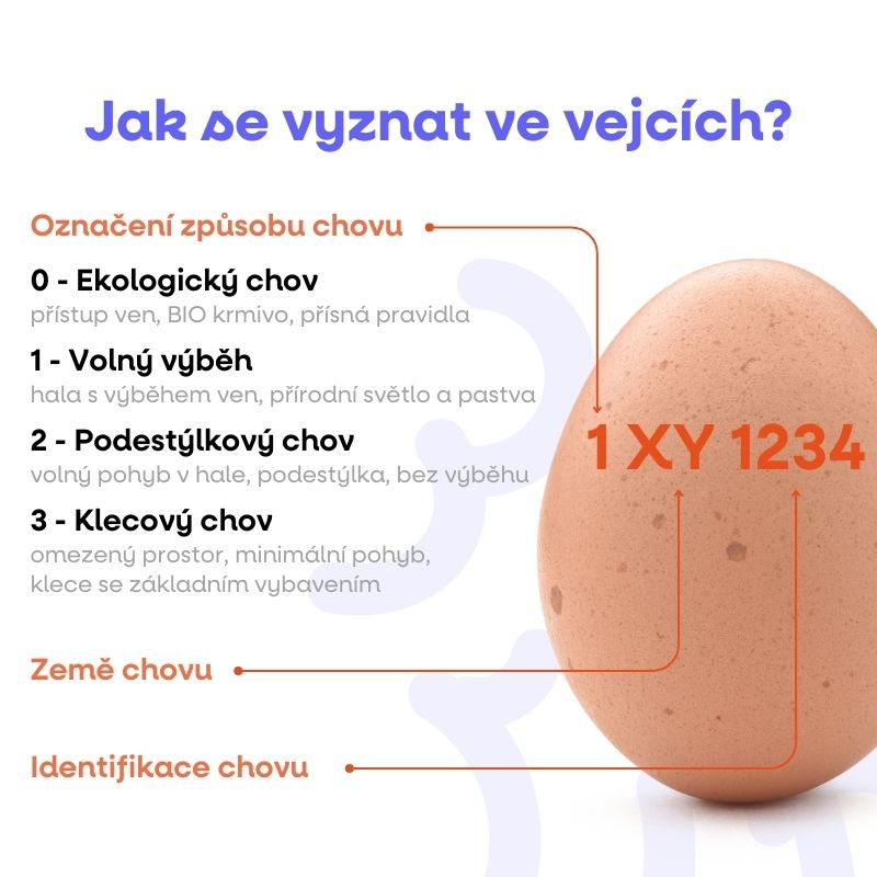 Jak se vyznat ve vejcích